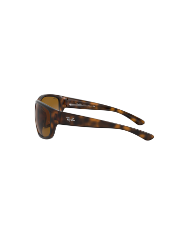 Ray Ban Rb4300 710/33 Square Oversized Carey Cafe B-15 | Sunnies...