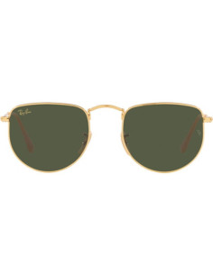 Ray Ban RB3958 9196/31 Elon Legend Negro G-15 Dorado | Sunnies.uno 2