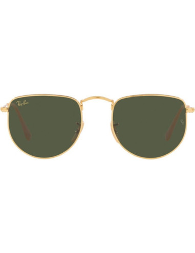 Ray Ban RB3958 9196/31 Elon Legend Negro G-15 Dorado | Sunnies.uno