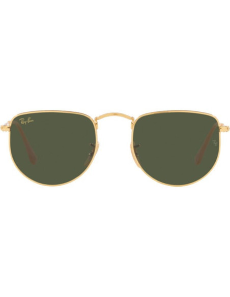 Ray Ban RB3958 9196/31 Elon Legend Negro G-15 Dorado | Sunnies.uno