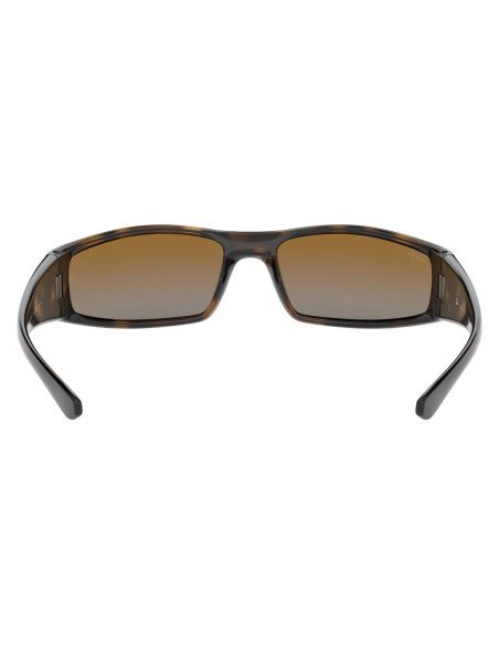 Ray Ban Rb4335 710/I3 Rectangular Acetato Cafe Degradado
