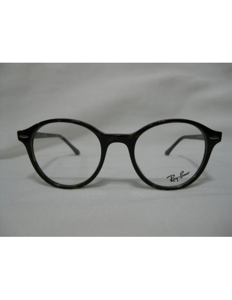 Ray Ban Oftalmico Rb7118 2012 Round Shape Carey Original | Sunnies.uno