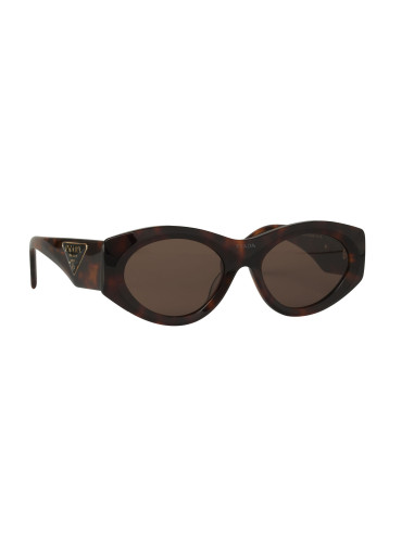Prada PR 20ZS 2AU-06B Square Shape Cafe Carey