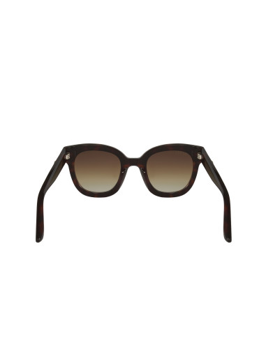 Gucci GG0208S 003 Square Oversized Carey Cafe Degradado | Sunnies.uno