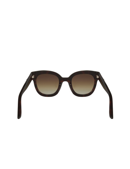 Gucci GG0208S 003 Square Oversized Carey Cafe Degradado | Sunnies.uno