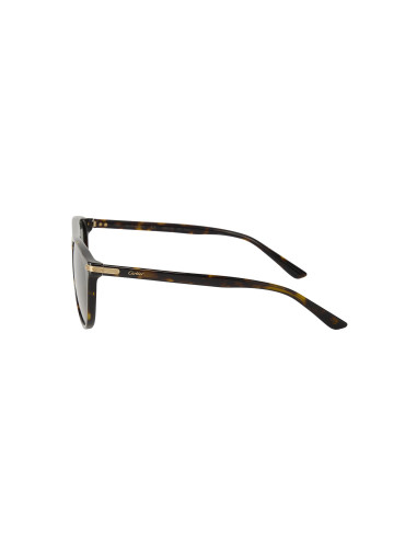 Cartier CT0013SA 002 Aviator Tortoise Gold