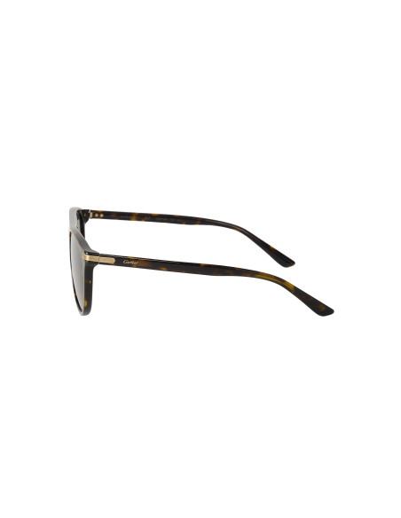 Cartier CT0013SA 002 Aviator Tortoise Gold
