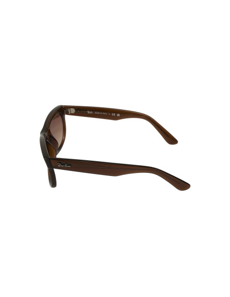 Ray Ban RB0502S 6709CB Wayfarer Reverse Transparent Brown