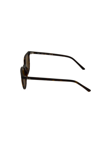 Ray Ban RB2197 902/33 Elliot B-15 Carey Cafe - Envio Gratis