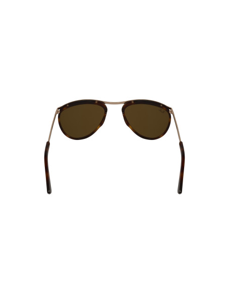 Ray Ban Rb2219 1309/33 Olympian Aviator Carey Cafe B-15 Original | Sunn...