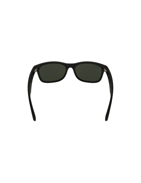Ray Ban Rb2132 622 New Wayfarer Negro Mate G15 Original Icon | Sunn...