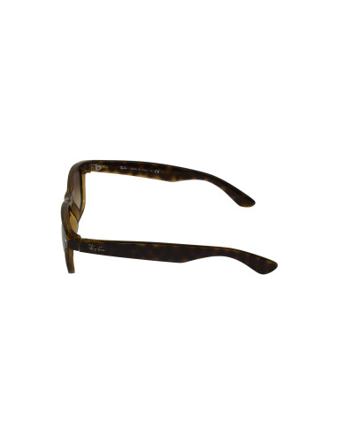 Ray Ban Rb2132 710/51 New Wayfarer Carey Cafe Degradado Icon | Sunn...