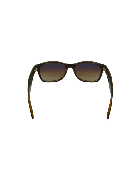 Ray Ban Rb2132 710/51 New Wayfarer Carey Cafe Degradado Icon | Sunn...