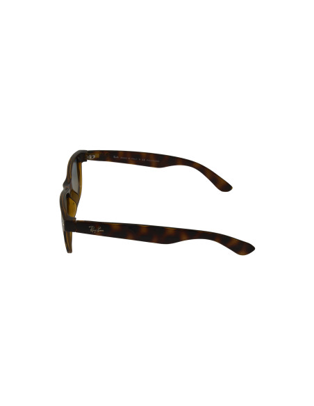Ray Ban Rb2132 894/76 New Wayfarer Polarizado Carey Gradient | Sunn...