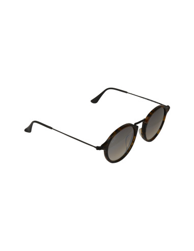 Ray Ban Rb2447 1157/9u Round Fleck Plata Espejo Carey | Sunnies.uno
