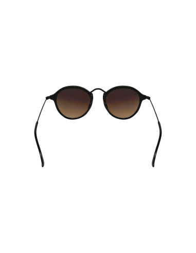 Ray Ban Rb2447 901/4o Round Fleck Azul Degradado Negro | Sunnies.uno