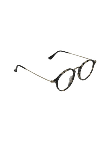 Ray Ban Rb2447V 5832 Oftalmico Round Fleck Carey Beige Plata