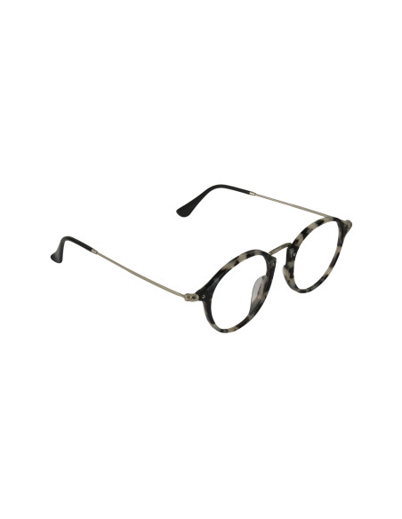 Ray Ban Rb2447V 5832 Oftalmico Round Fleck Carey Beige Plata