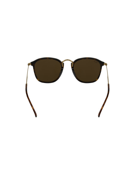 Ray Ban Rb2448n 710 Icon Sunglasses Cafe B-15 Carey Original | Sunn...
