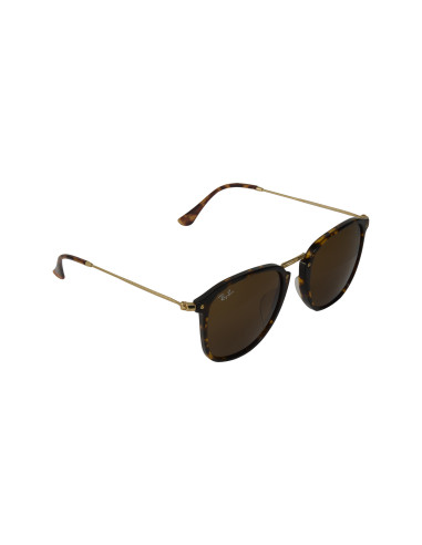 Ray Ban Rb2448n 710 Icon Sunglasses Cafe B-15 Carey Original | Sunn...