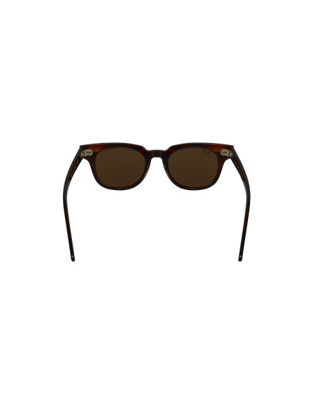 Ray Ban Rb2168 954/33 Meteor Carey Cafe B15 Clasico Original | Sunn...
