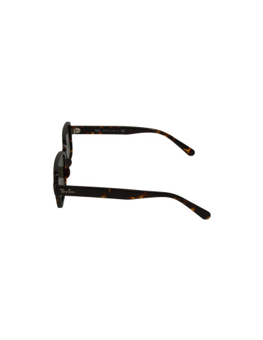 Ray ban RB2189 901/31 Benji Negro G-15 Plateado Clasico