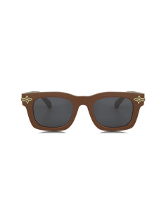 Louis Vuitton Z2529U Brown 2