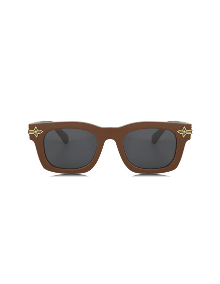Louis Vuitton Z2529U Brown