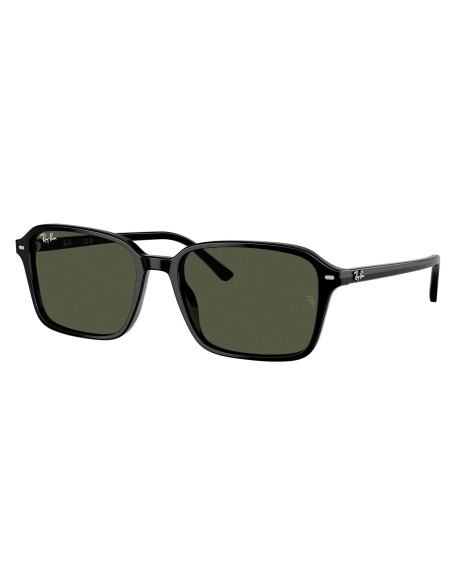 Ray Ban RB2231 1417R5 Raimond