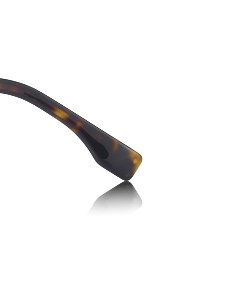 Fendi FE40043U 33G Sky Sunglasses Coffe Gold