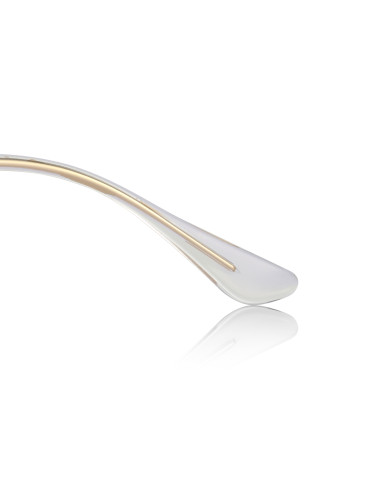 Ray Ban Rb3025 W3234 Aviator Negro Dorado G15 Gota chica | Sunnies.uno