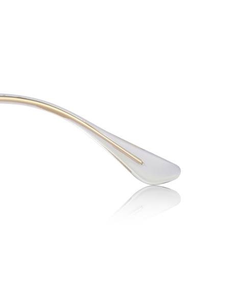 Ray Ban Rb3025 W3234 Aviator Negro Dorado G15 Gota chica | Sunnies.uno