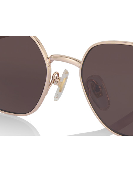 Gucci GG1604S 001| Sunni...