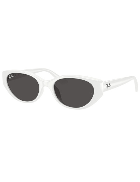 Ray-Ban RB4457D 677287 | Sunnies México