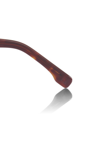 Fendi FE40078I 53V | Sunnies México