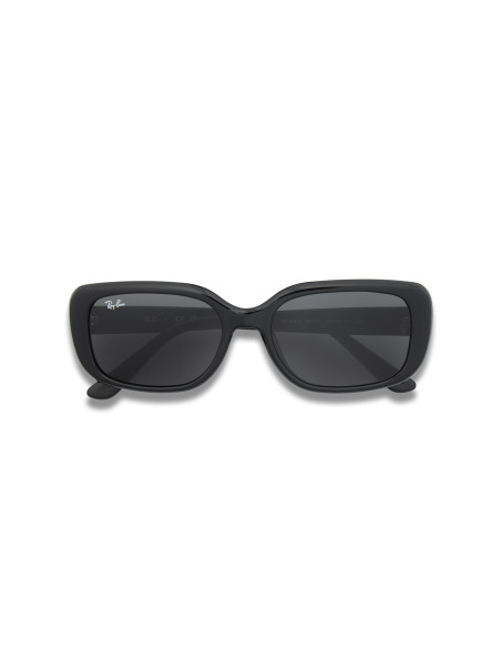 Ray-Ban RB4421D 667787 | Sunnies México