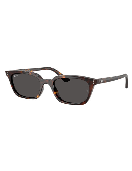 Ray-Ban RB4456 135987