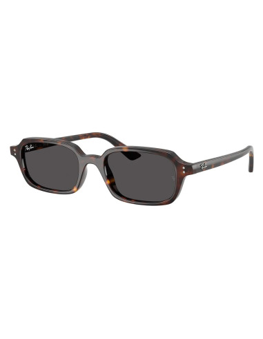 Ray-Ban RB4455 135987