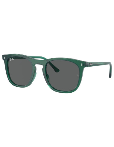 Ray-Ban RB2210 6615/B1