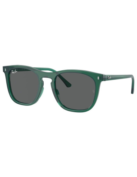 Ray-Ban RB2210 6615/B1