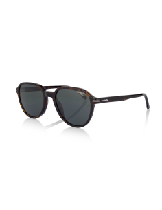 CARRERA 342/S FTTQT X