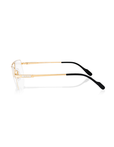 CAZAL 742 COL.096 5913 145 X