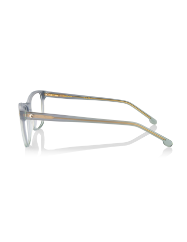 CARRERA 3009 3U5 140 X