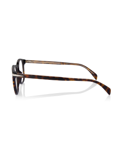 DAVID BECKMAN  DB1050 086 150 X 2