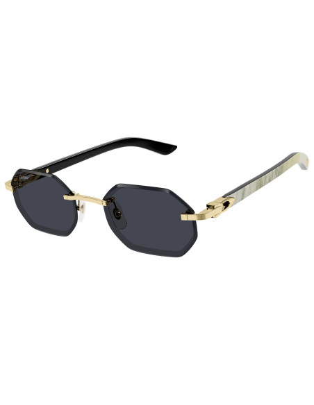 Cartier CT0439S 002