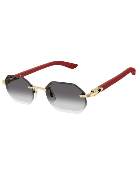 Cartier CT0439S 003