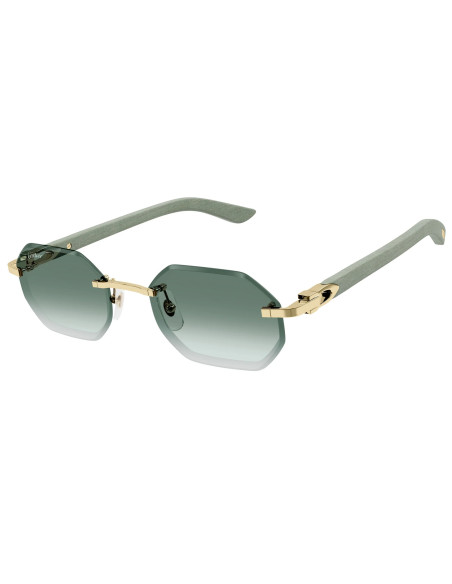 Cartier CT0439S 004