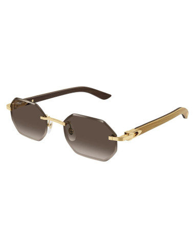 Cartier CT0439S 006