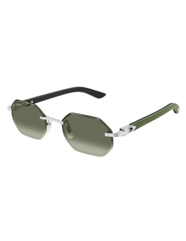 Cartier CT0439S 008
