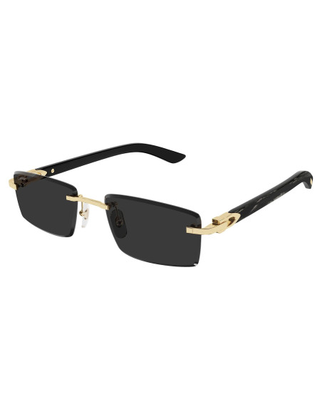 Cartier CT0582S 001